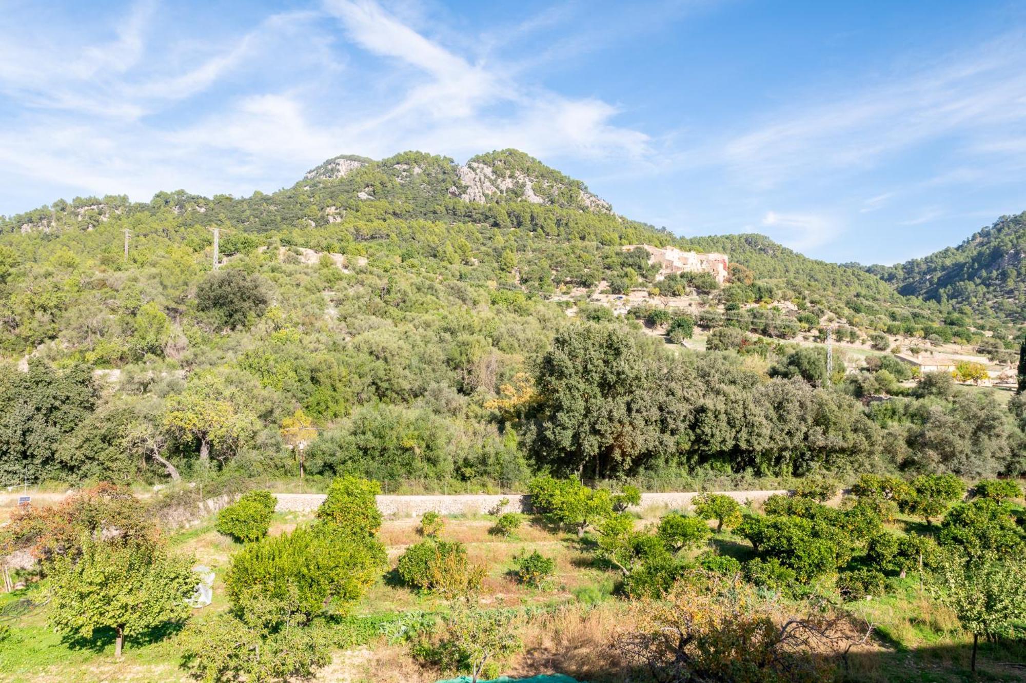 Agroturismo Filicumis By Mhr Lloseta Bagian luar foto