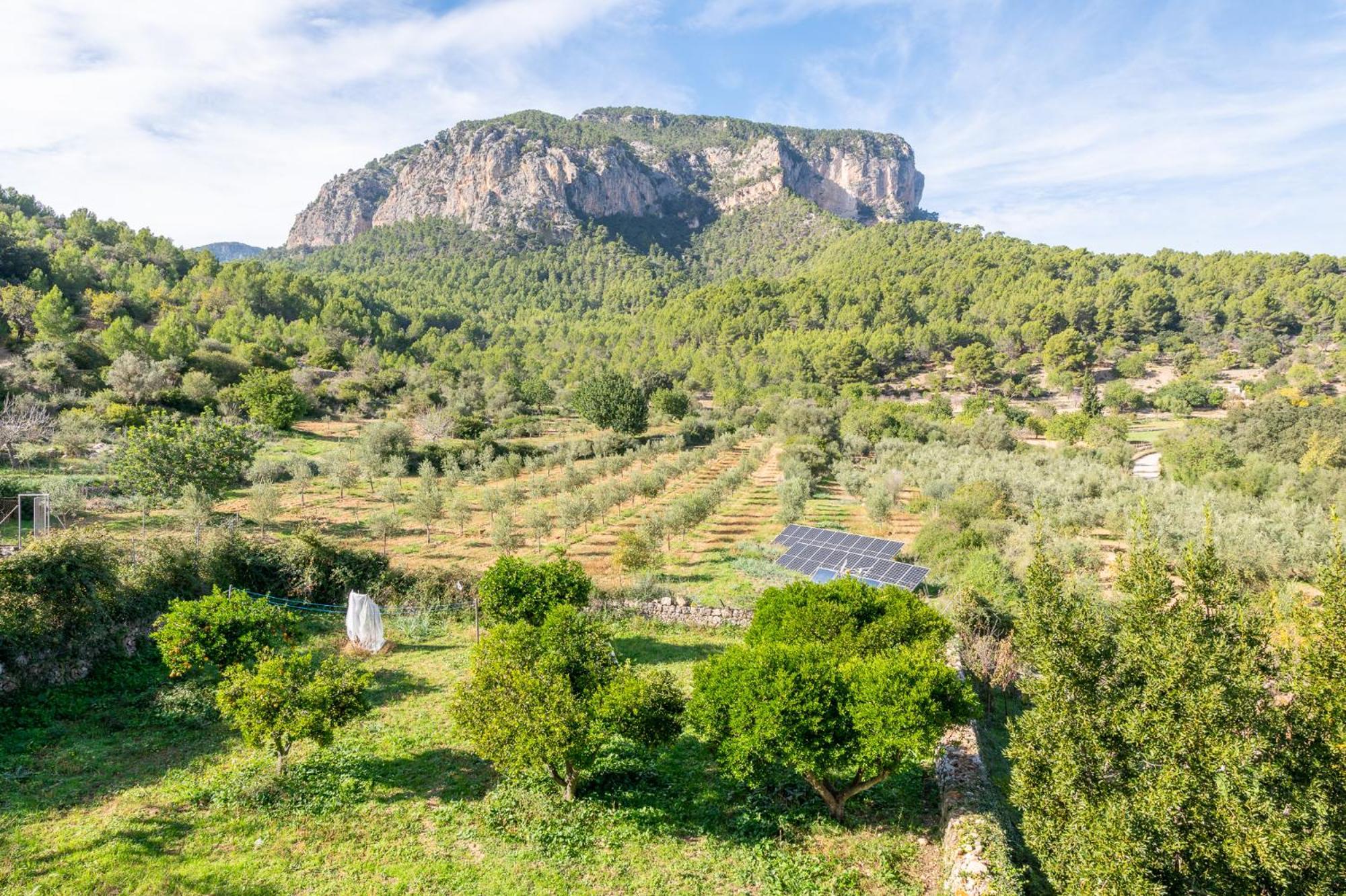 Agroturismo Filicumis By Mhr Lloseta Bagian luar foto