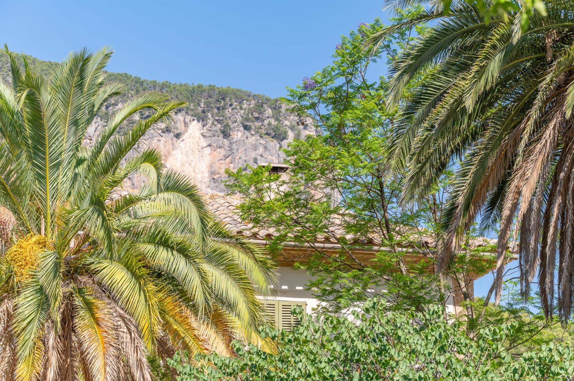 Agroturismo Filicumis By Mhr Lloseta Bagian luar foto