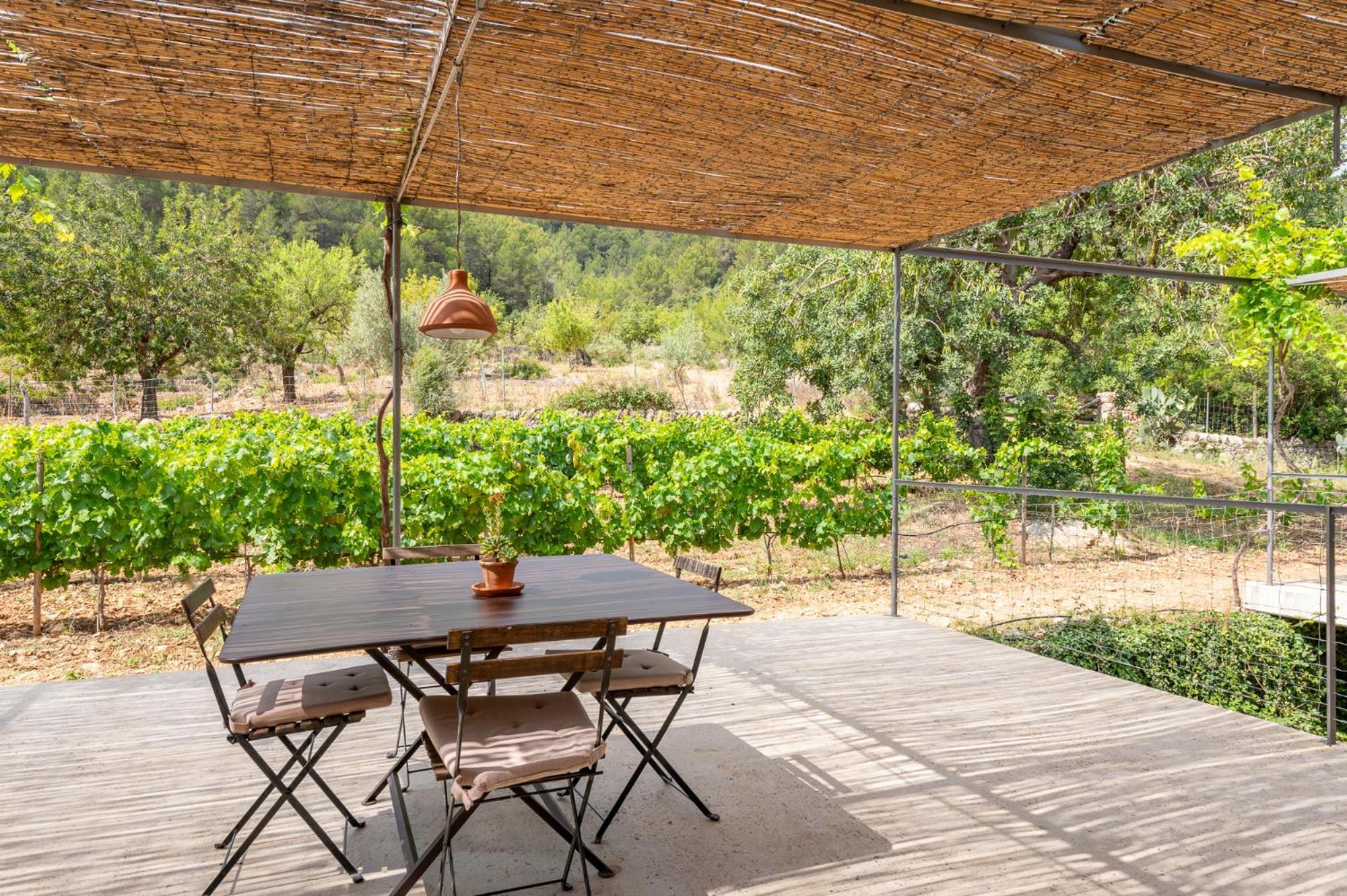 Agroturismo Filicumis By Mhr Lloseta Ruang foto